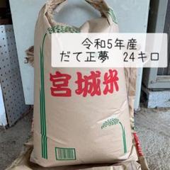 宮城県産 令和5年産 お米 だて正夢 白米 24キロ - メルカリ