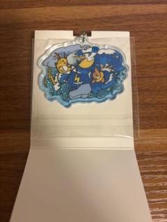 OTENKI TEAM アクリルキーホルダー ライチュウ　ペリッパー　ブイゼル