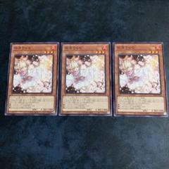 灰流うらら 3枚セットの中古/未使用品 - メルカリ