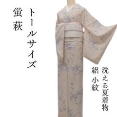 未着用　小紋　夏用　絽　洗える着物　蝶　撫子　竹筋　斜め縞　着物　054a d 未着用小紋夏用絽洗える着物蝶撫子竹筋斜め縞着物054a d