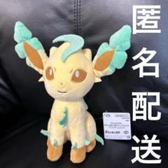 任天堂 ポケットモンスター フシギソウ Sサイズ ぬいぐるみ