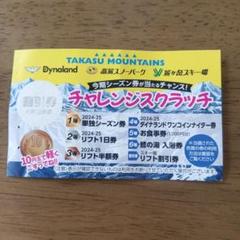 高鷲スノーパーク リフトICチケット2枚　50%OFF券2枚セット 高鷲スノーパーク&ダイナランド リフト券 2枚