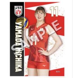 山田ニ千華 ブロマイド L判 1枚