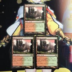 MTG 踏み鳴らされる地　他言語　4枚セット 踏み鳴らされる地｜カードギャラリー｜マジック：ザ