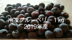 農薬不使用冷凍ブルーベリー1kg