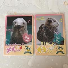 2025年最新】鳥羽水族館購入の人気アイテム - メルカリ