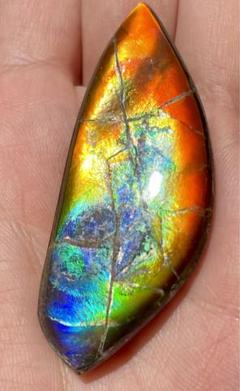 虹色ルースストーンアンモライトフリーフォーム57x23x3.5mm