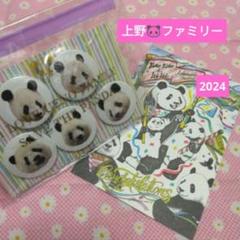 上野動物園　シャンシャン　上野ファミリー缶バッチ　2024.25バースデーカード