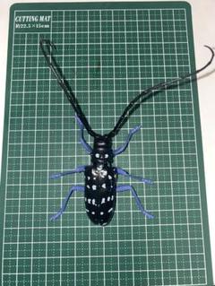 いきもの大図鑑 くわがた04 ゴマダラカミキリ