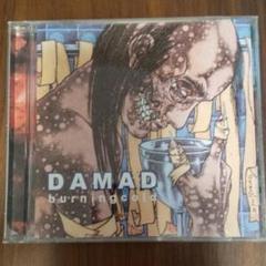 DAMAD / burning cold