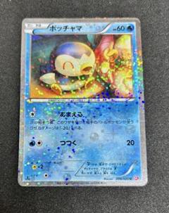 ポケモンカード シャイニーコレクション ポッチャマ