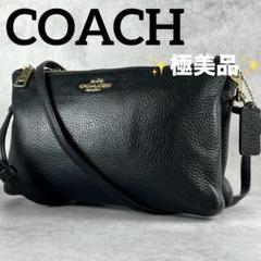 楽天市場】コーチ COACH レイラ クロスボディ レザー F38273