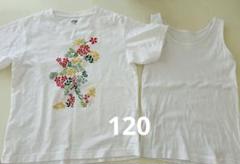 ユニクロ　UNIQLO 半袖Tシャツ　グンゼ　肌着　120cm 綿100%