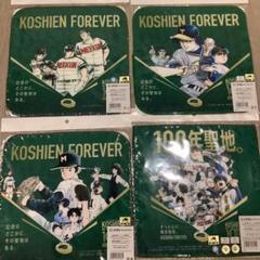 甲子園100周年記念　ミニタオル　未使用