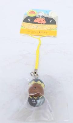 カピバラさん ご当地根付ストラップ 25点セット 2025年最新】カピバラさん 根付の人気アイテム - メルカリ