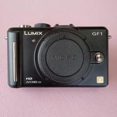 中古美品/パナソニック/lumix/GF1/ボディ/シャッター8784回