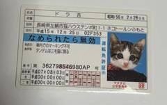 ⭐️希少品⭐️なめ猫免状等 希少】なめ猫 みけ子 免許証 キラカード - メルカリ