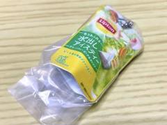 Lipton ミニチュアチャームコレクション 水出しアイスティー