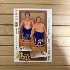 大相撲　佐田の海　反物 2025年最新】佐田の海 反物の人気アイテム - メルカリ