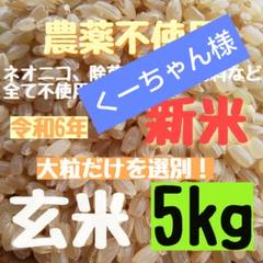自然栽培／完全無農薬】鳥のエサ・増量　大人に　なれなかった米　くず米　１０ｋｇ 自然栽培／完全無農薬】鳥のエサ・増量 大人に なれなかった米