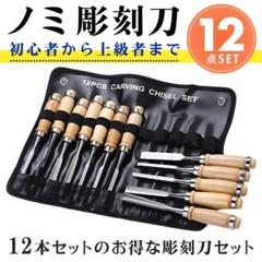 彫刻刀 ノミ 12本 セット カービングナイフ 木工 工作 DIY 木彫り 趣味