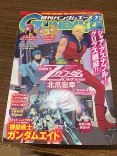 入手困難　ガンダムエース 2006年 6月号 付録完備 レイコ ホリンジャー 入手困難 ガンダムエース 2006年 6月号 付録完備 レイコ