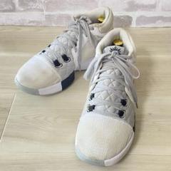 NIKE レブロンウィットネス VIII EP バッシュ　28.5cm キルト