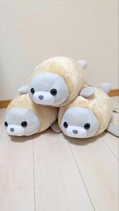 【新品・タグ付き】FANS　あざらしフライぬいぐるみXL プレミアム　3体セット