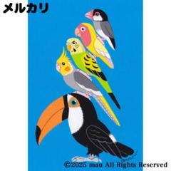 原画「小鳥ブレーメン 空色」イラスト/アート/絵画/鳥/インコ/文鳥/オオハシ