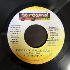 BUJU BANTON / MY PEN レゲエ レコード レア盤 2025年最新】buju banton レコードの人気アイテム - メルカリ
