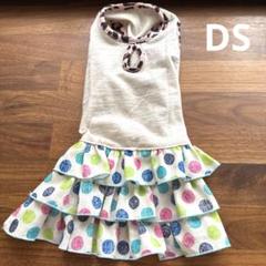 DS 22 試作品