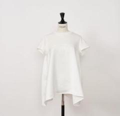 Heve ヘイヴ　LADYBUGトップス　ホワイト　新品未使用タグ付き 2025年最新】レディバグ heveの人気アイテム - メルカリ