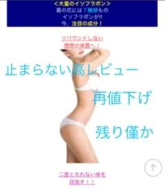 ダイエットサプリ✨スリマーロジック✨60粒✨SALE価格✨