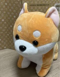 柴犬　大きいぬいぐるみ　ラブリーわんこ