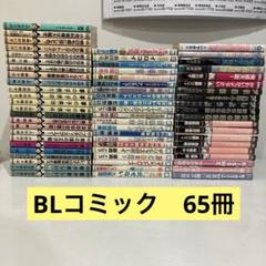 BLコミック まとめ売り セット 特典付き Amazon.co.jp: 体感予報 セット 特典 小冊子 アニメイト