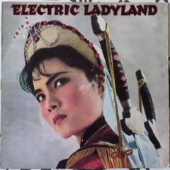 中古 V.A - ELECTRIC LADYLAND 2LP