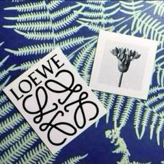 LOEWE ⭐️ラベル ⭐️2点セットのサムネイル