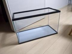 22年最新 水槽 60cm ハムスターの人気アイテム メルカリ