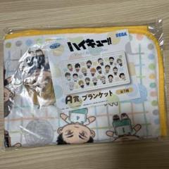 ハイキュー!! A賞ブランケット＆ラストラッキー賞マスコットセット セガ ラッキーくじ 「ハイキュー !! Pastel Art Collection