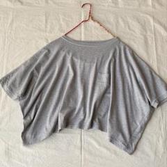 dahl'ia ダリア ショート丈 Tシャツ グレー