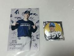 日ハム 山崎福也投手直筆 クリアファイル 2025年最新】山崎福也投手の人気アイテム - メルカリ