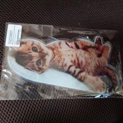 椹野道流　猫　ちびすけ　アクリルスタンド