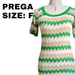 プレガ PREGA ギザギザニットワンピース ストライプ サマーニット F