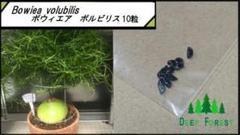 蒼角殿　特大良型 2025年最新】蒼角殿の人気アイテム - メルカリ