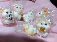 ハムスター　小動物7匹セット！のサムネイル