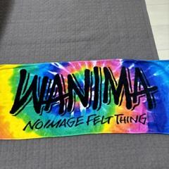 新品 未使用 レアなピザロゴ有り×緑】WANIMA フェイス タオル