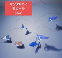 ＊ マンタ ＊ エイ ＊ ジンベエザメ 海遊館 水族館 好きに！
