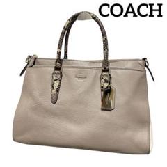 希少 COACH メンズ バッグ 限定23個 コーチ 蛇革 ヘビ革 ヘビ柄 蛇柄 希少 COACH メンズ バッグ 限定23個 コーチ 蛇革 ヘビ革 ヘビ柄