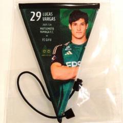 松本山雅 ハッピーくじ限定 マッチデーガーランド 29番 ルーカス選手 非売品