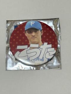 達孝太 北海道日ハムファイターズ